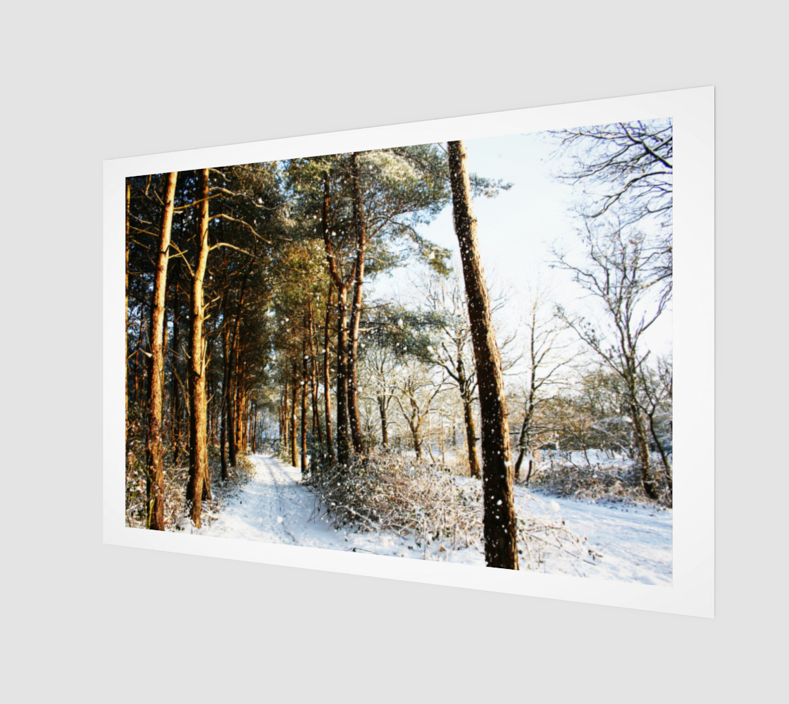 Forest Snow Scene Art Print preview
