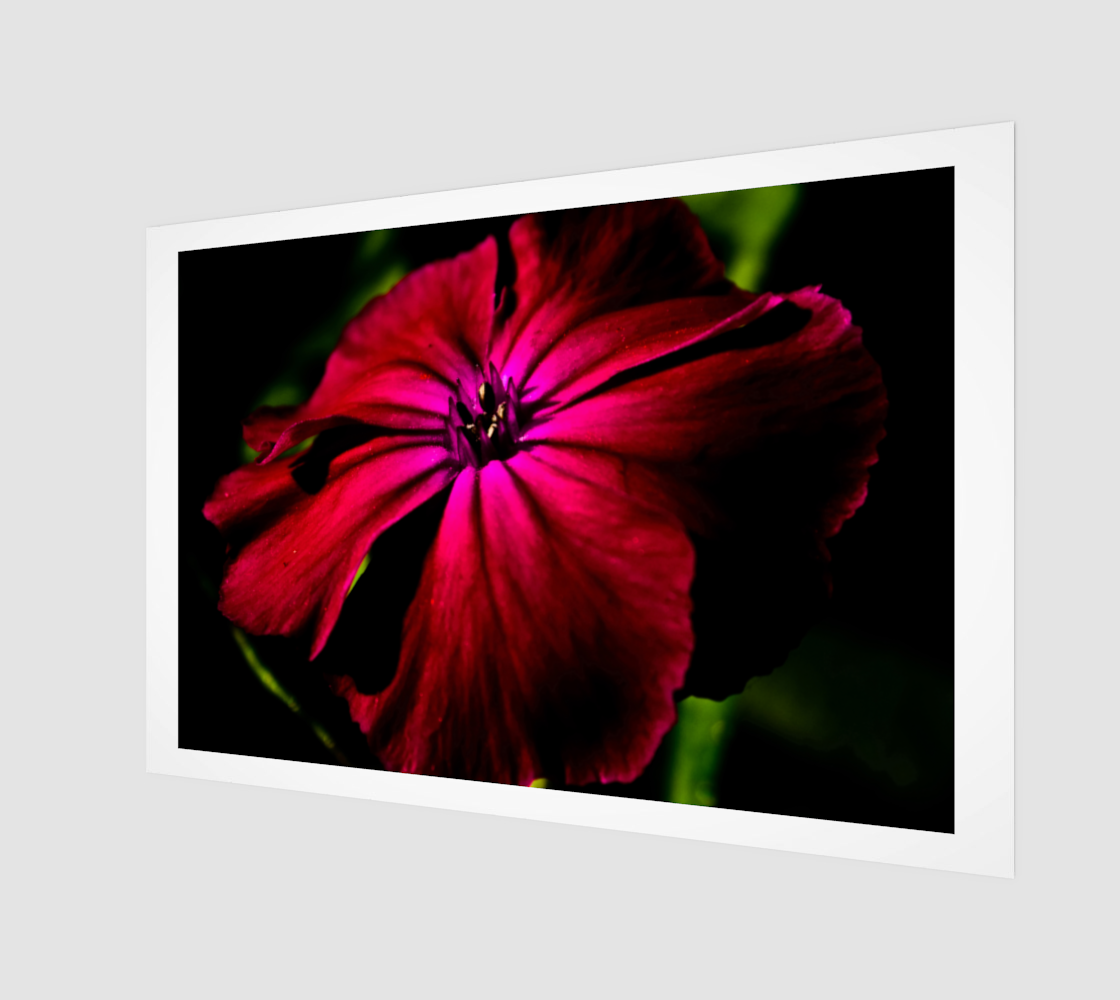 Purple Wild Flower Poster Print preview