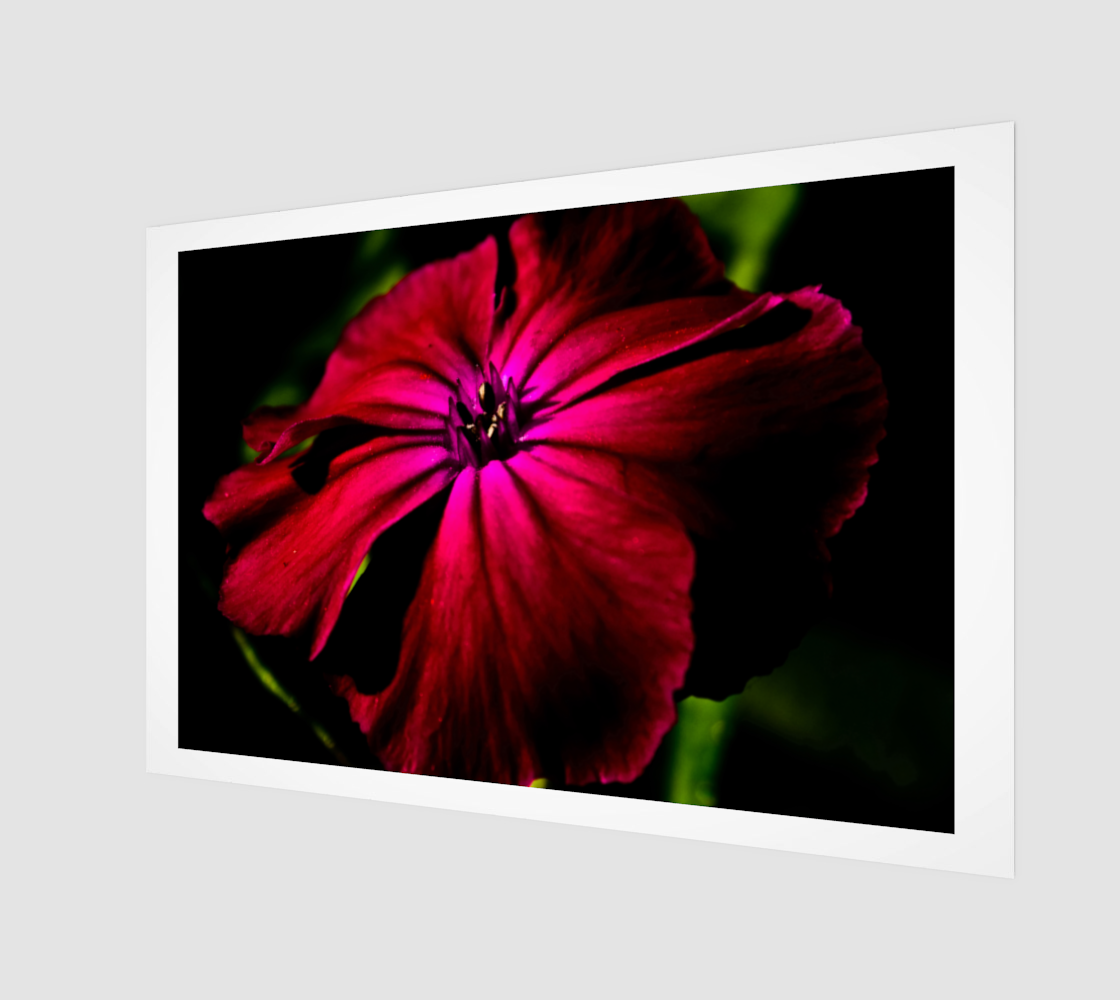 Purple Wild Flower Wood Print preview