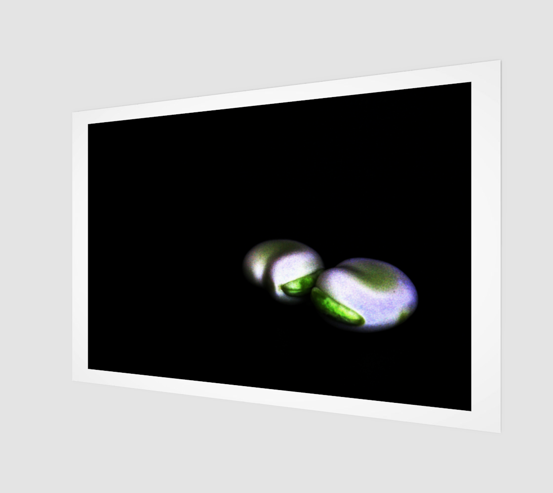 Two Broad Beans Art Print preview