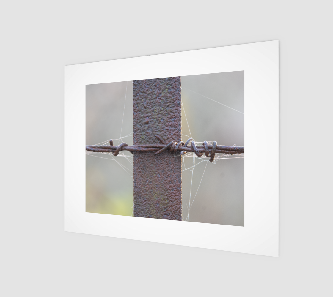 Barbed fence preview #1