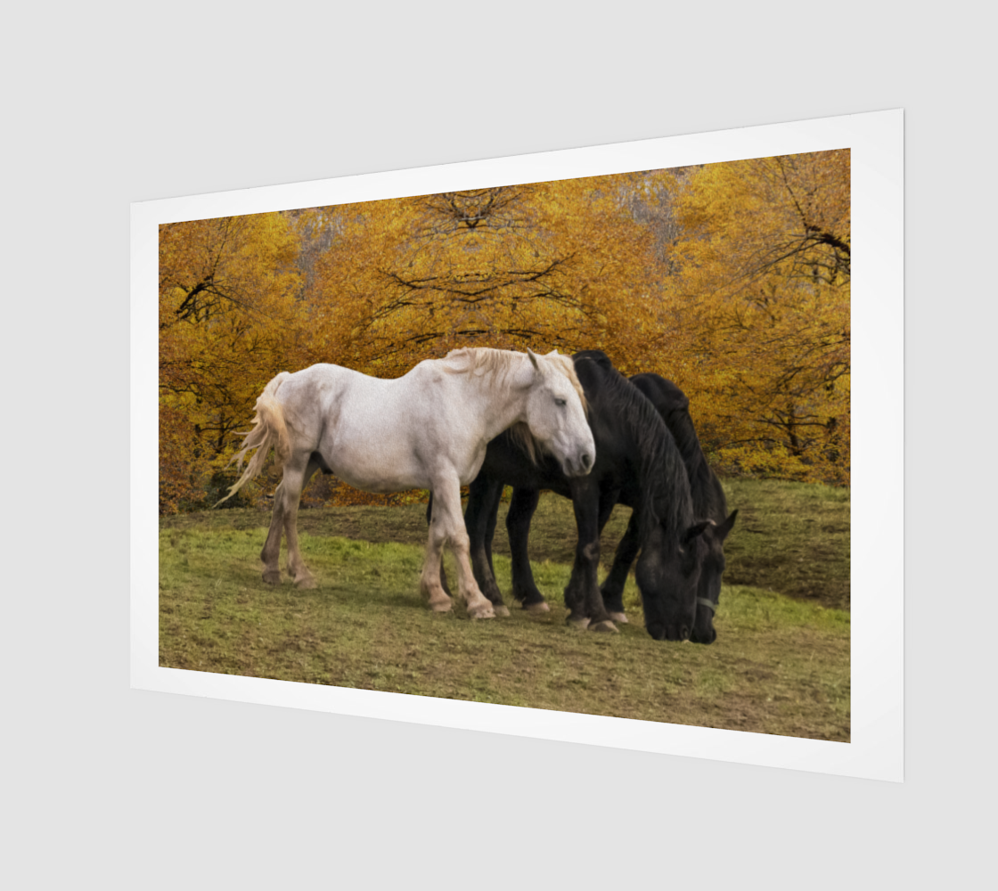 Horses in Fall preview