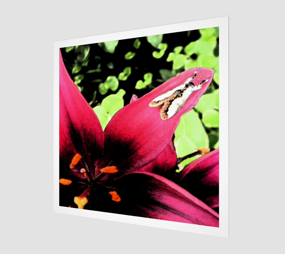Red Lily & Moth Art Print preview