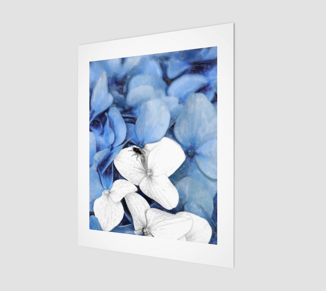 Country Fly Blue Hydrangea Watercolor preview
