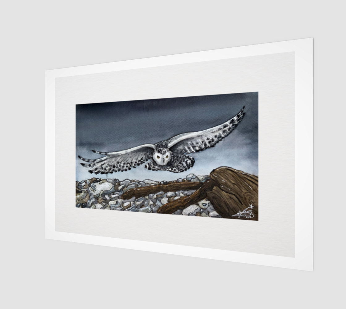 Snowy Owl Art Print - Border Included preview
