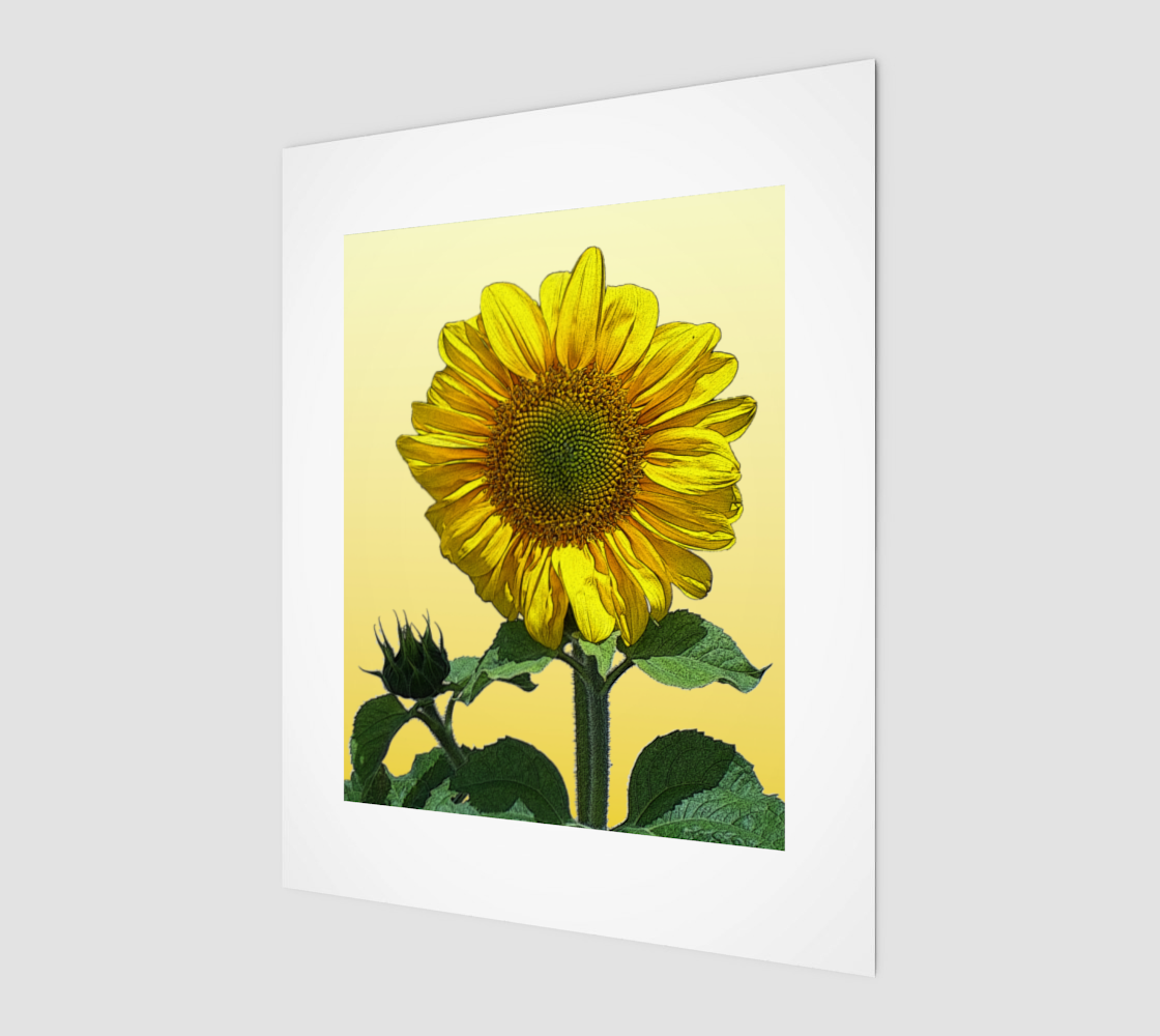 Sunflower 3D preview