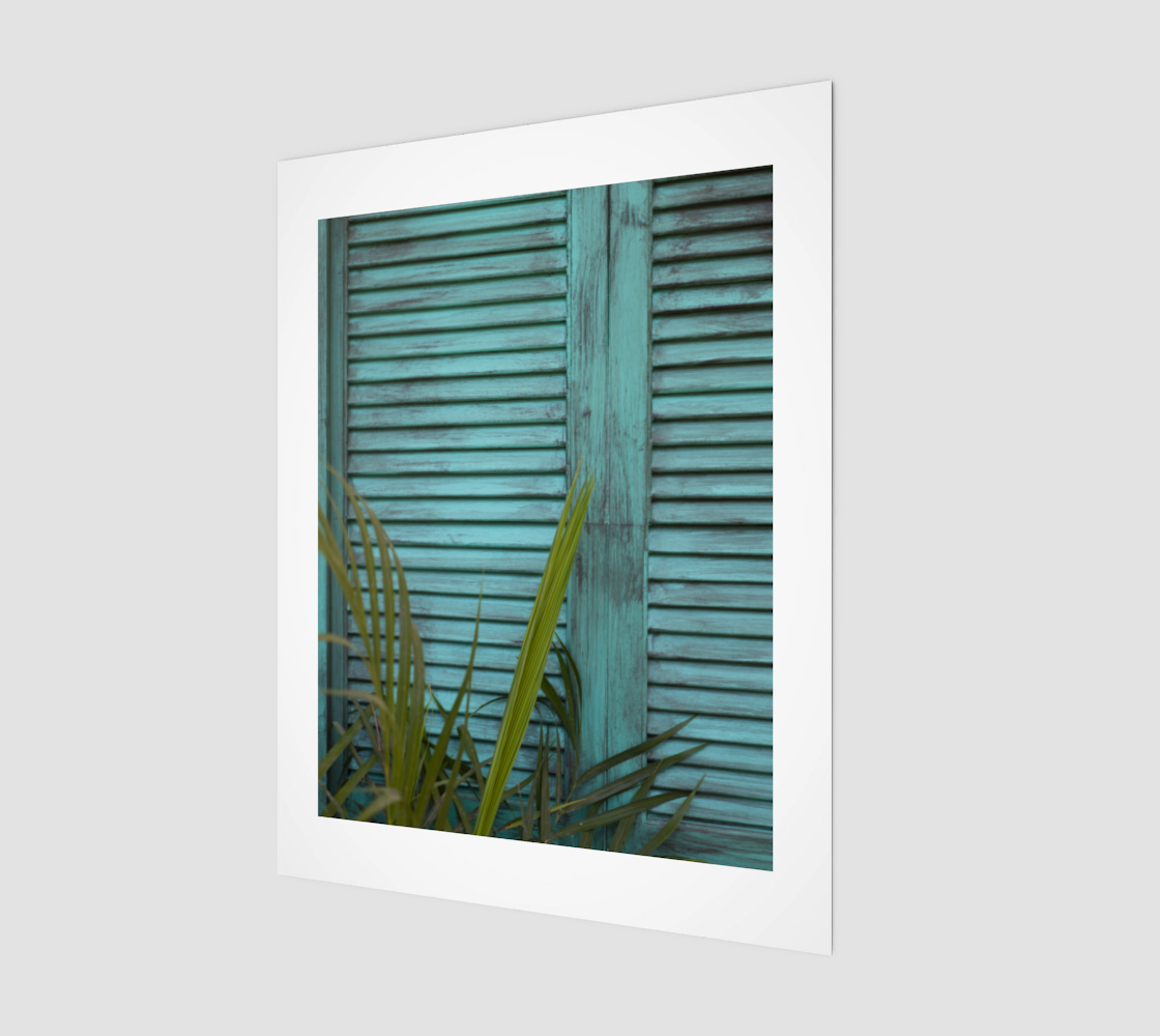Shutters in Mexico 11x14 preview