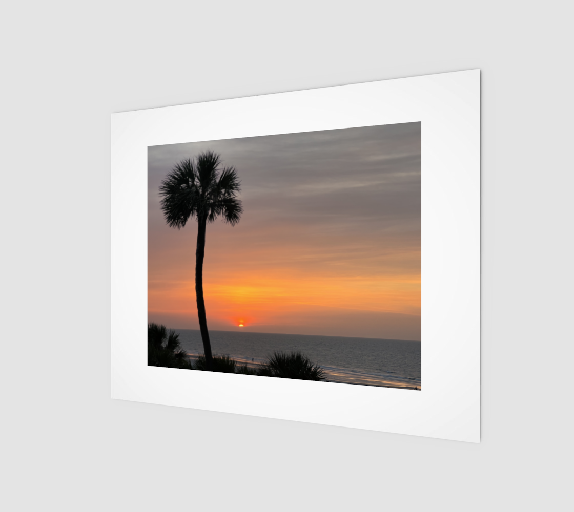 Palm Tree in Silhouette at Sunrise preview