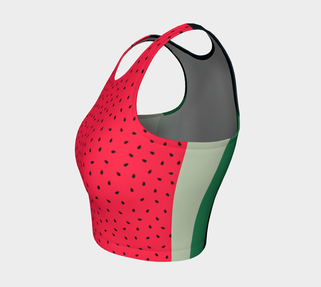 Watermelon Fruit preview #3