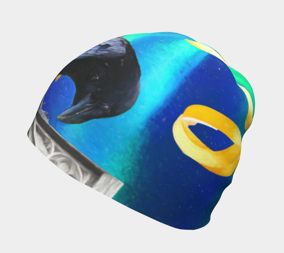 Aperçu de Raven Magic Beanie #2