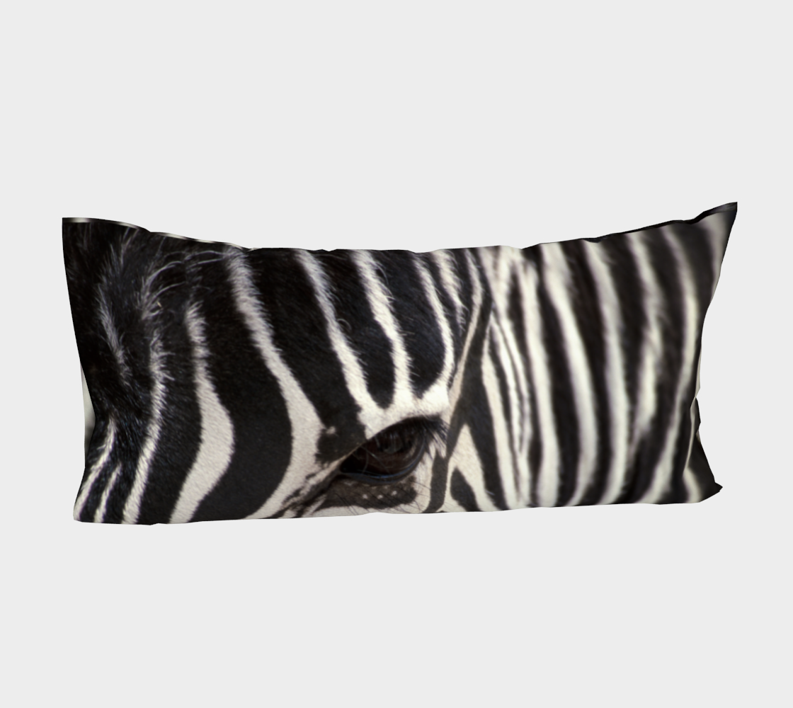 Zebra Eye preview #4