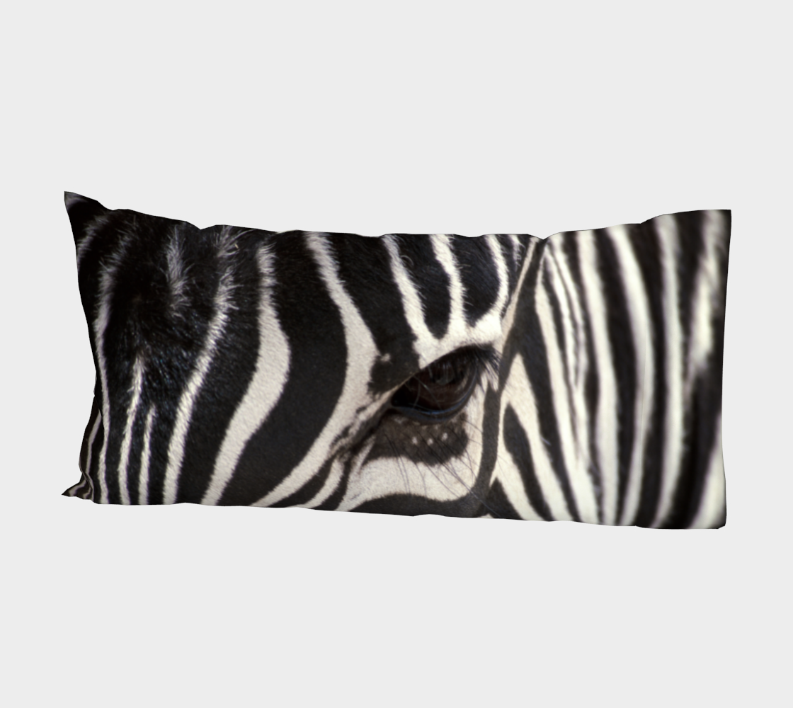 Zebra Eye preview #2