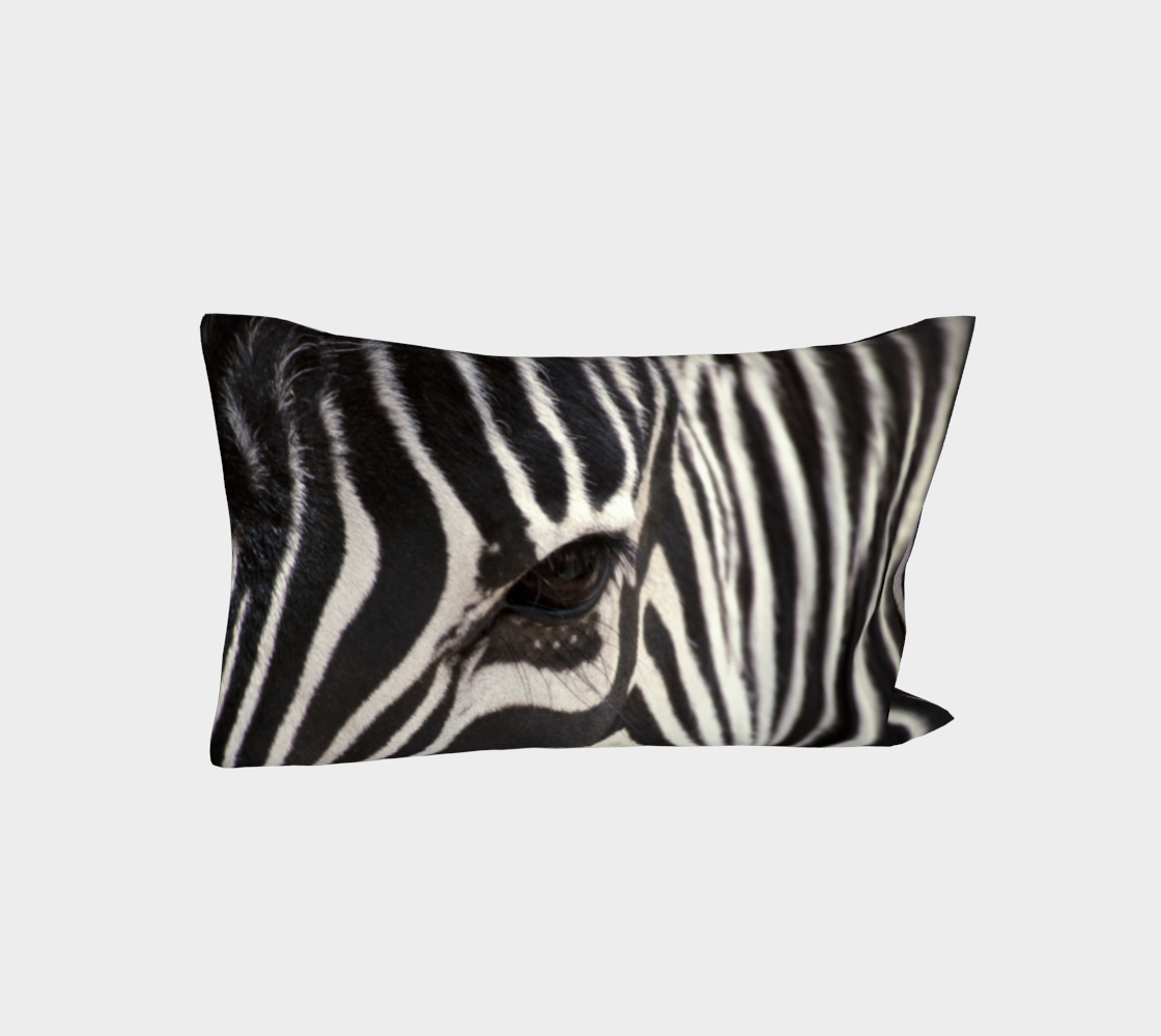 Zebra Eye preview #3