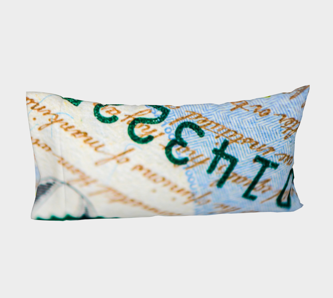Money Down Bed Pillow Sleeve preview #4