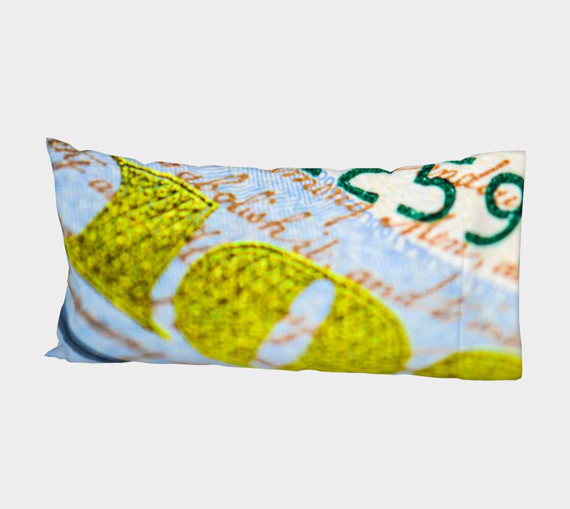 Money Down Bed Pillow Sleeve thumbnail #3
