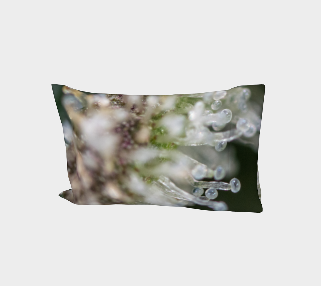 Trichomes & Terpenes Bed Pillow Sleeve preview