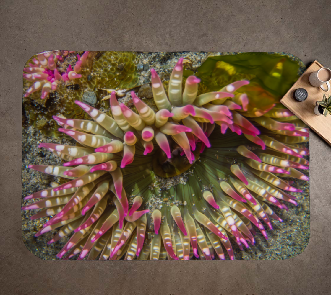 Aperçu 3D de Sea Anemone