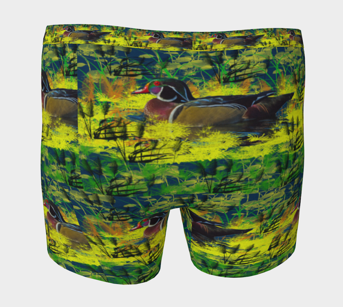 Wood Duck preview #4
