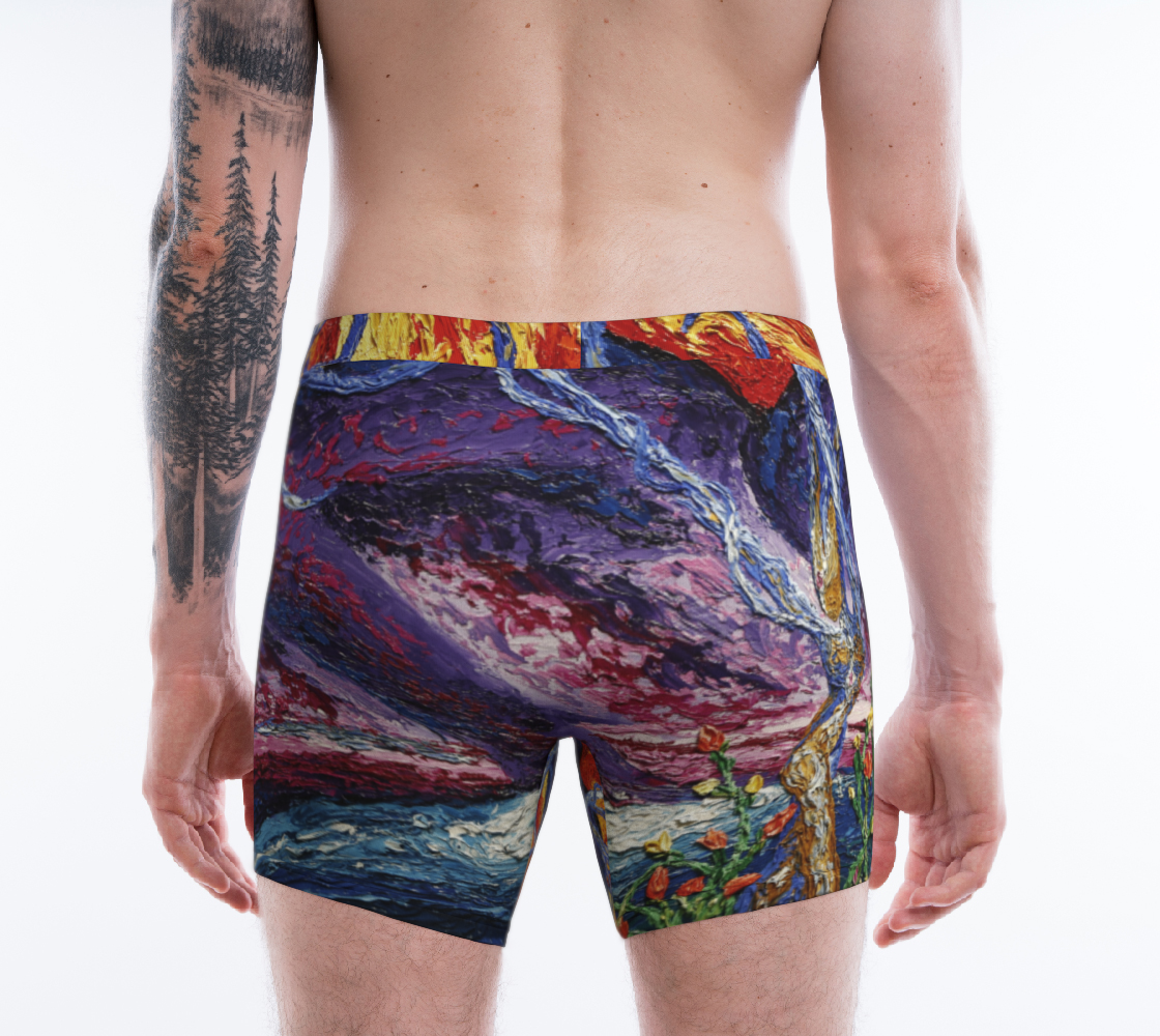 Elysia Mens Brief preview #2
