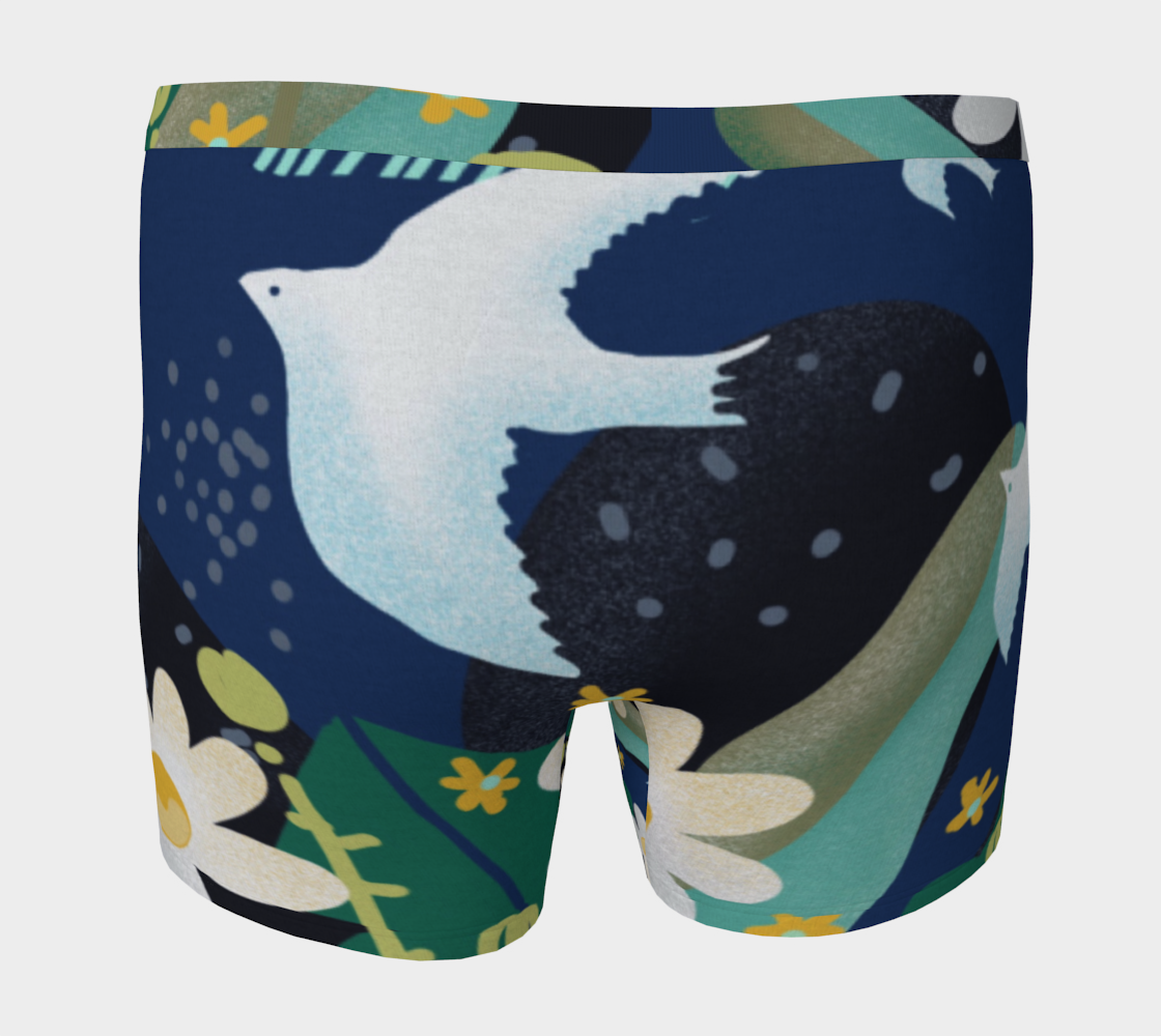 Boxer Les oiseaux du ciel preview #4
