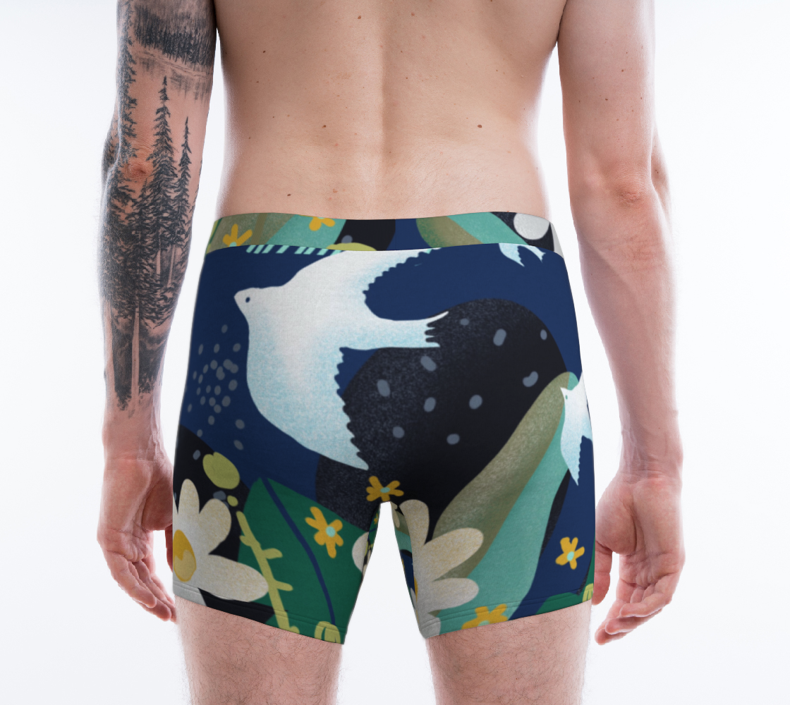 Boxer Les oiseaux du ciel preview #2