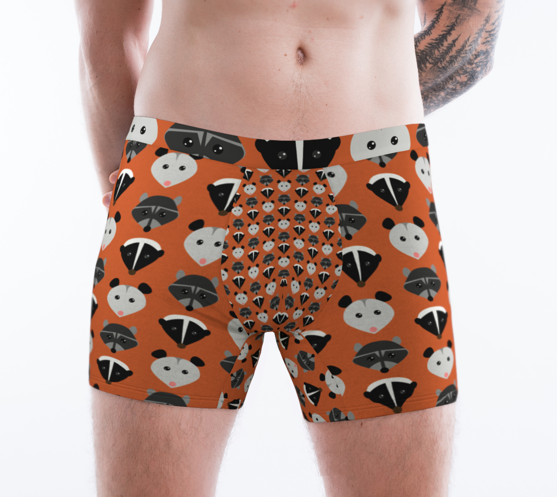 Trash Friends Skunk, Opossum, & Raccoon Pattern Boxers preview #1