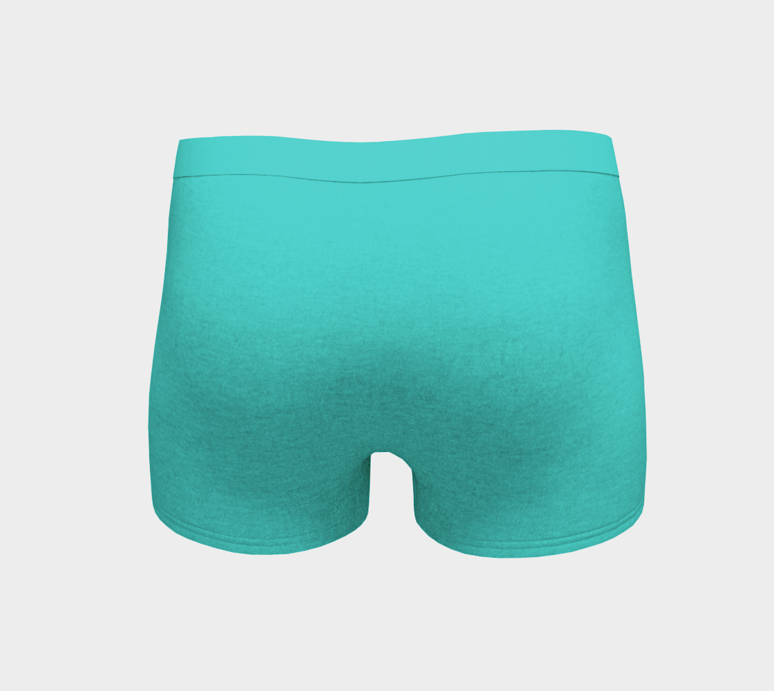 Aperçu de color medium turquoise #4