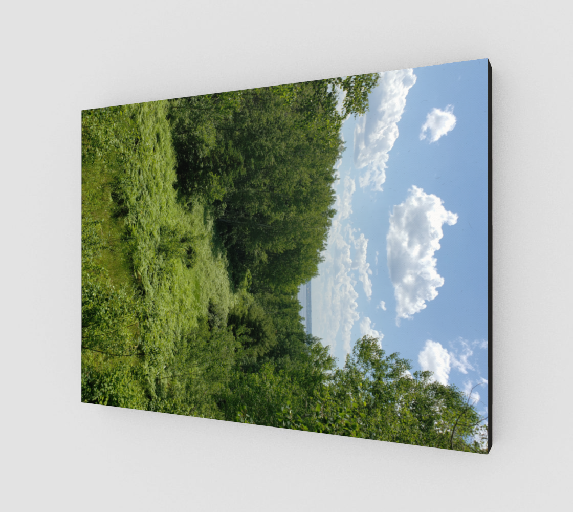 Summer View preview #2