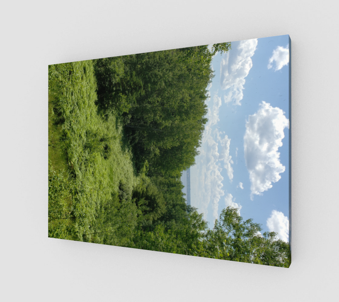 Summer View preview #1