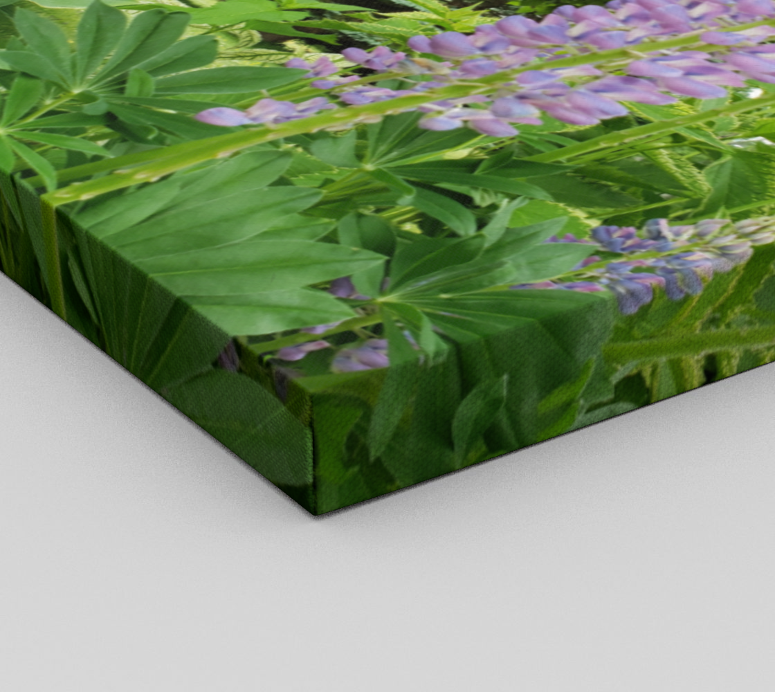 Lupids preview #3