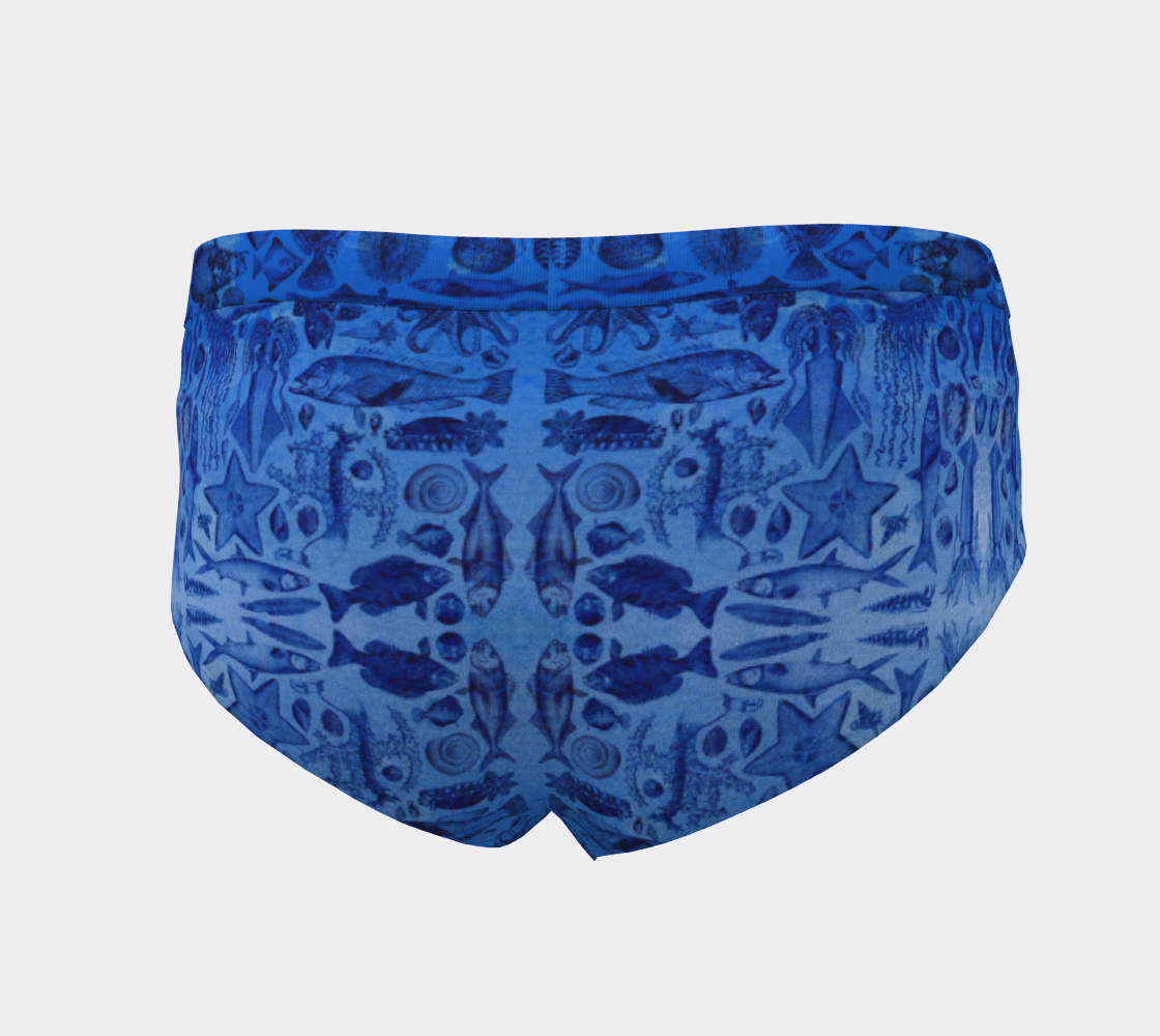 Cheeky Fish Briefs for Women preview #4