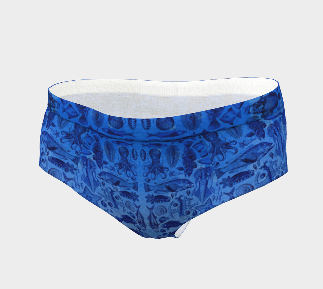 Cheeky Fish Briefs for Women preview