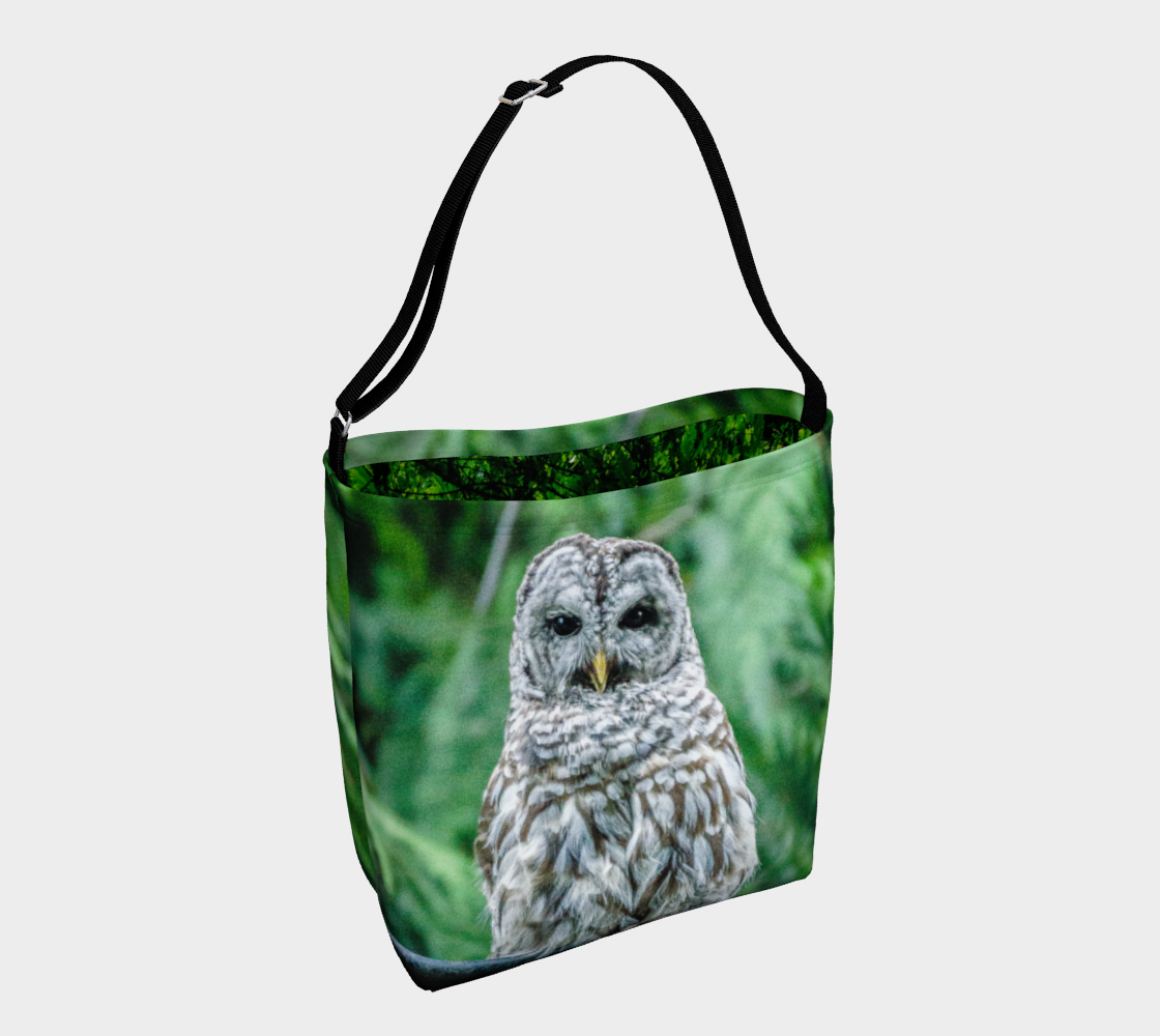 Aperçu de Good Evening Owl