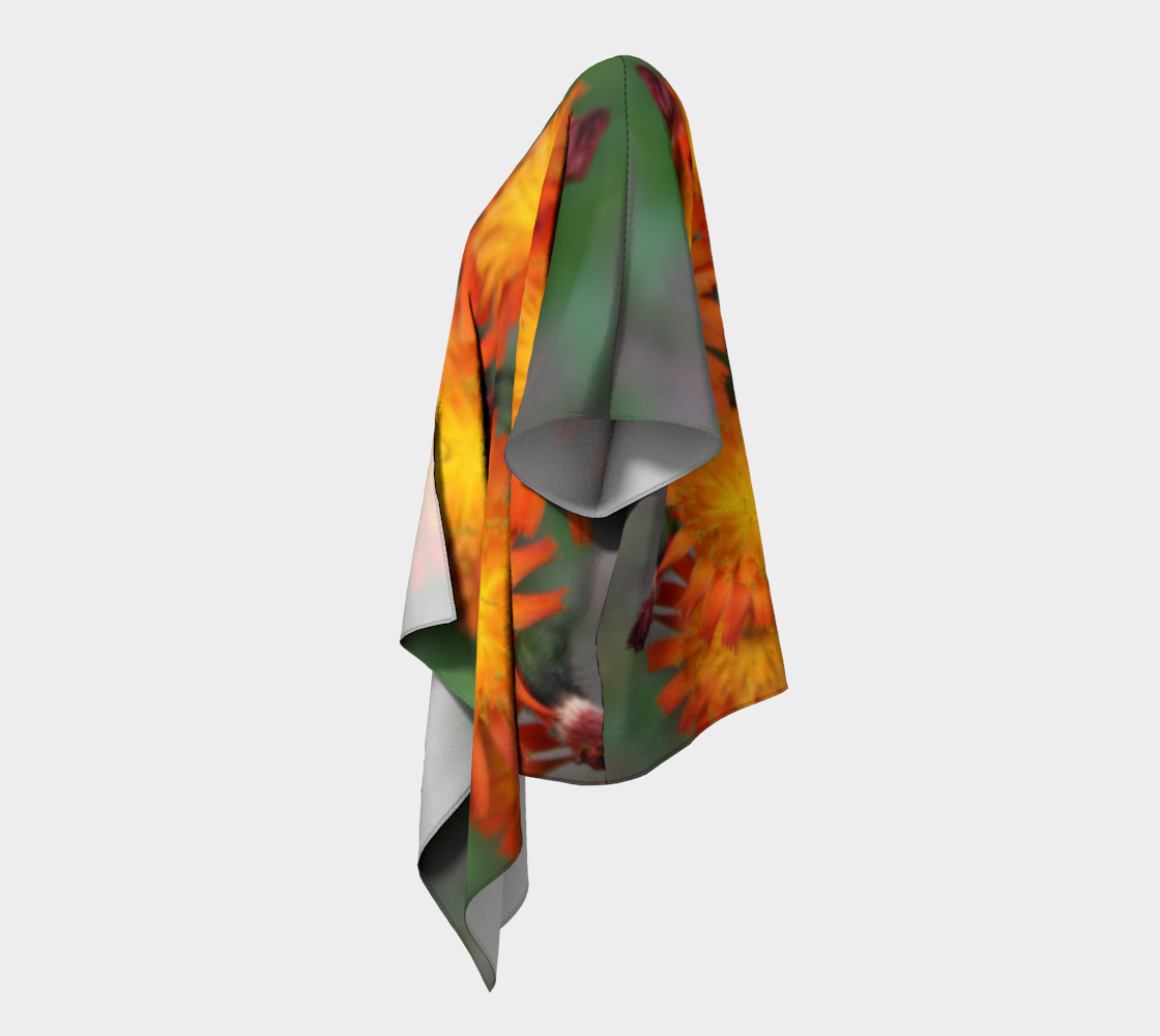 Orange Hawkweed preview #2