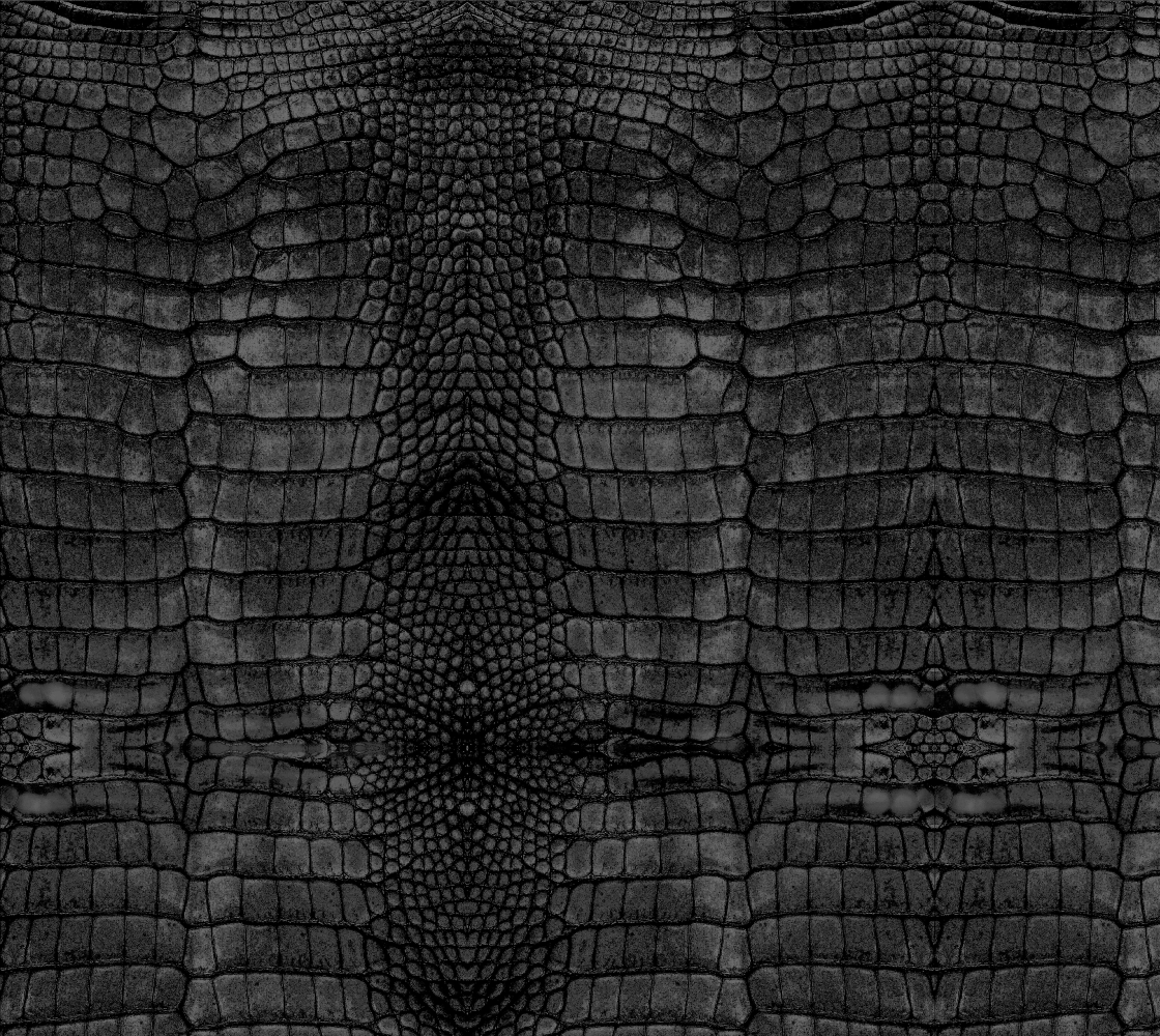 Dark Charcoal Crocodile Print preview