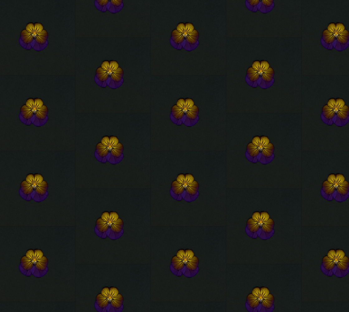 Aperçu de Fabric * Tiger Pansy on Charcoal * Floral Fabrics * Purple Yellow Flower Fabric