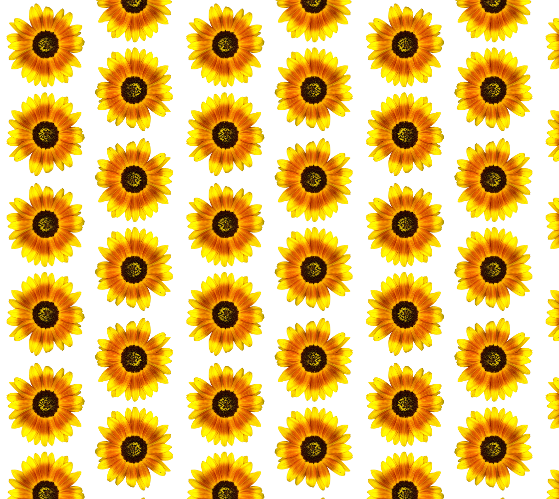 Fabric * Yellow Shasta Daisy on White  preview