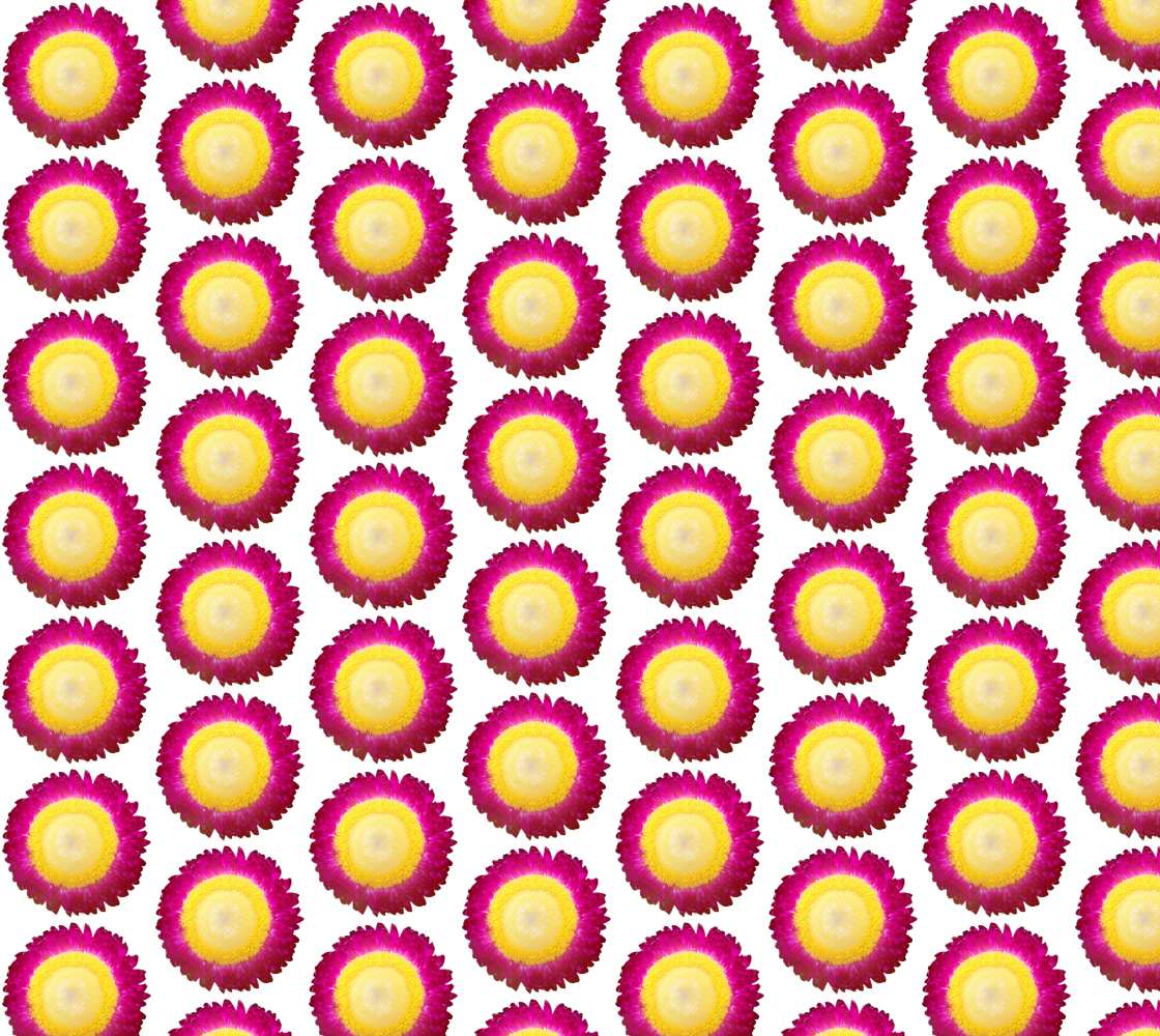 Aperçu de Seamless pattern of everlasting flowers fabric