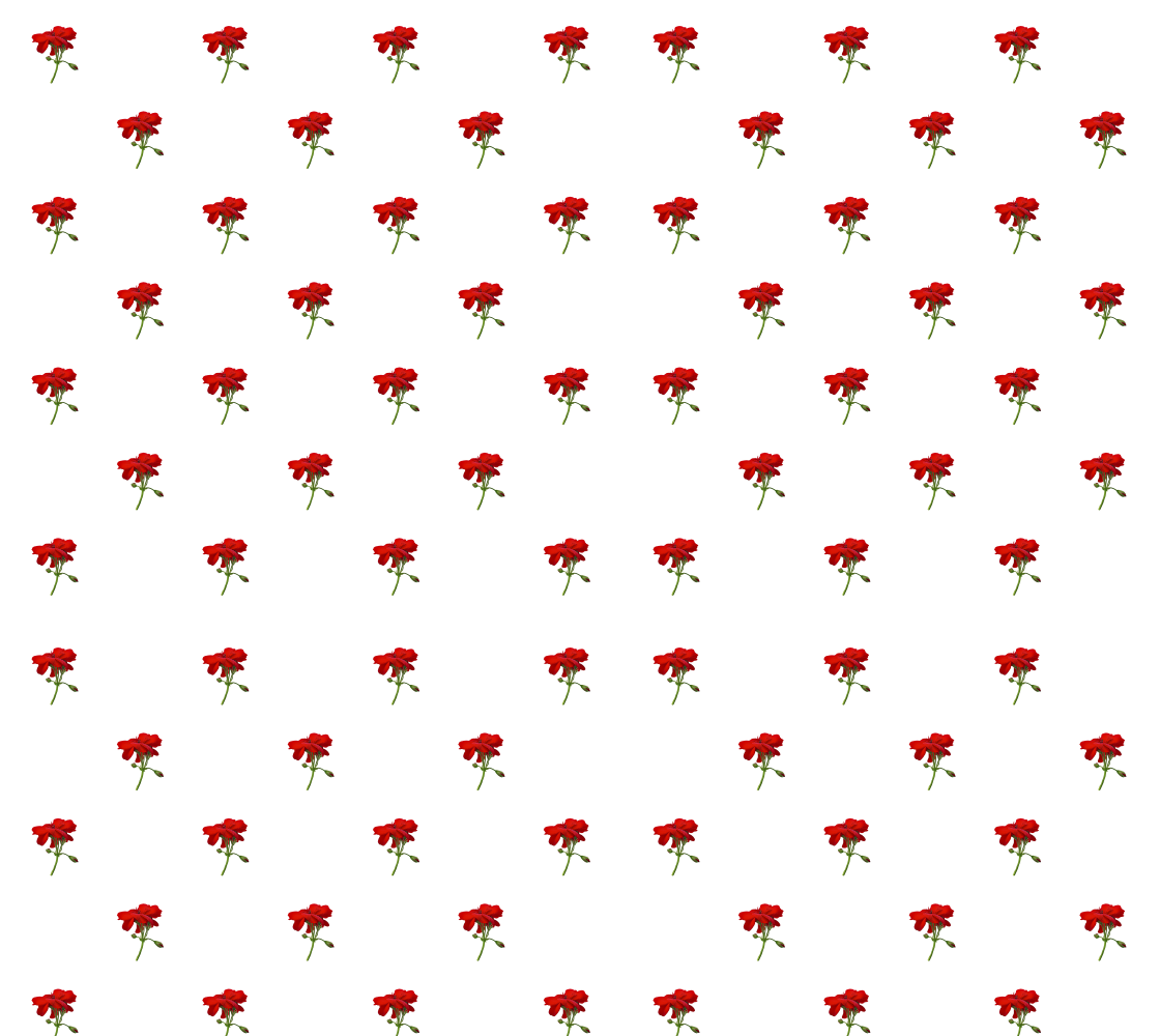 Aperçu de Red Geraniums Photos Pattern