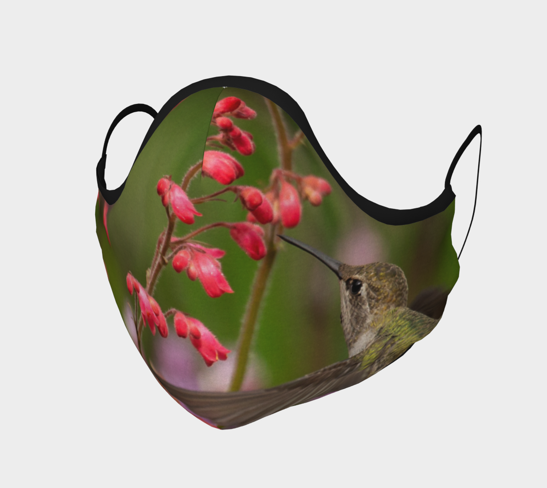 Hummingbird aperçu