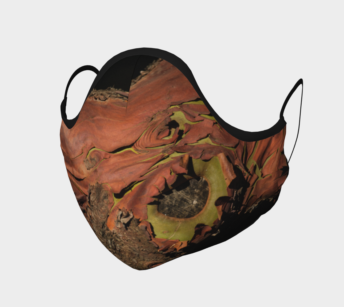 Arbutus preview #1