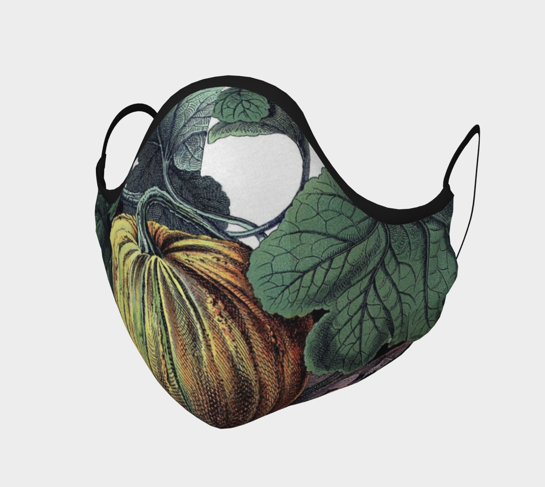 Aperçu de pumpkin mask #1