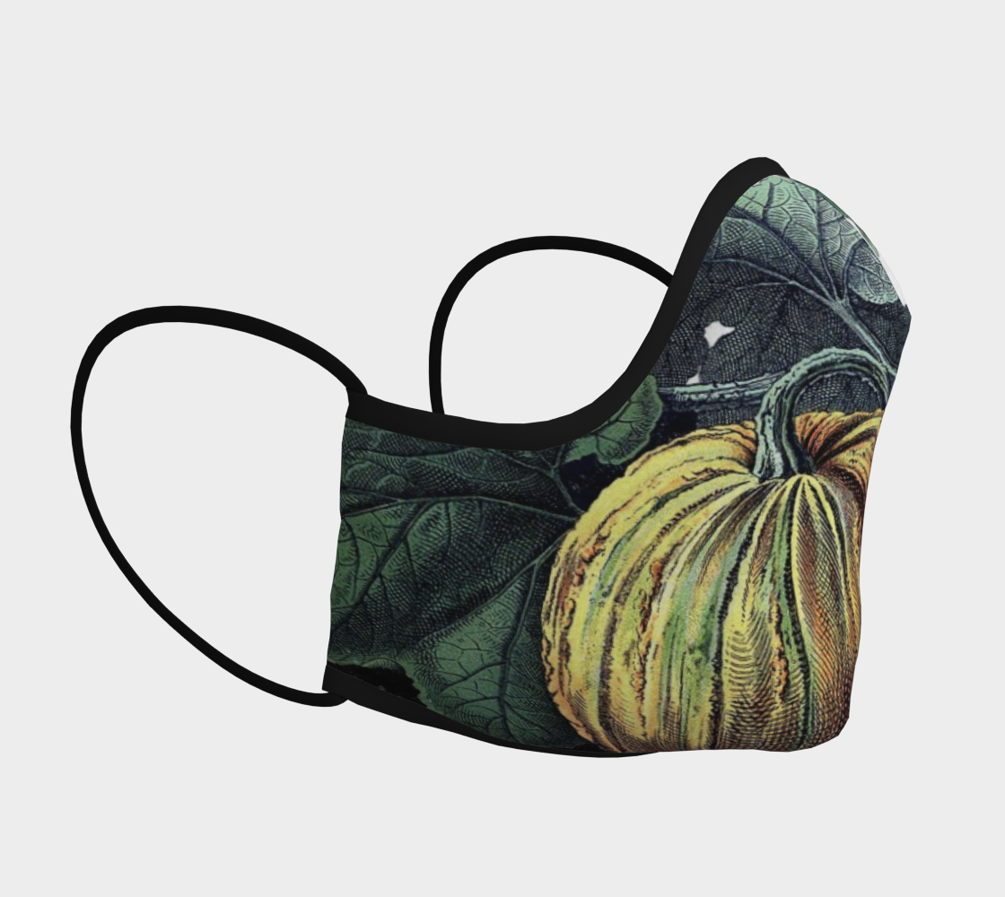 Aperçu de pumpkin mask #3