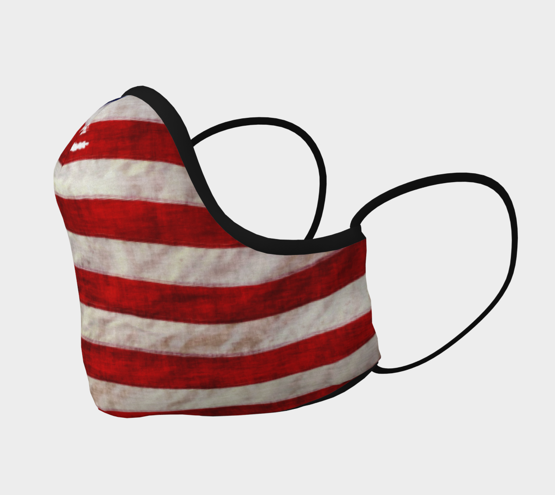Patriotic US Flag preview #2