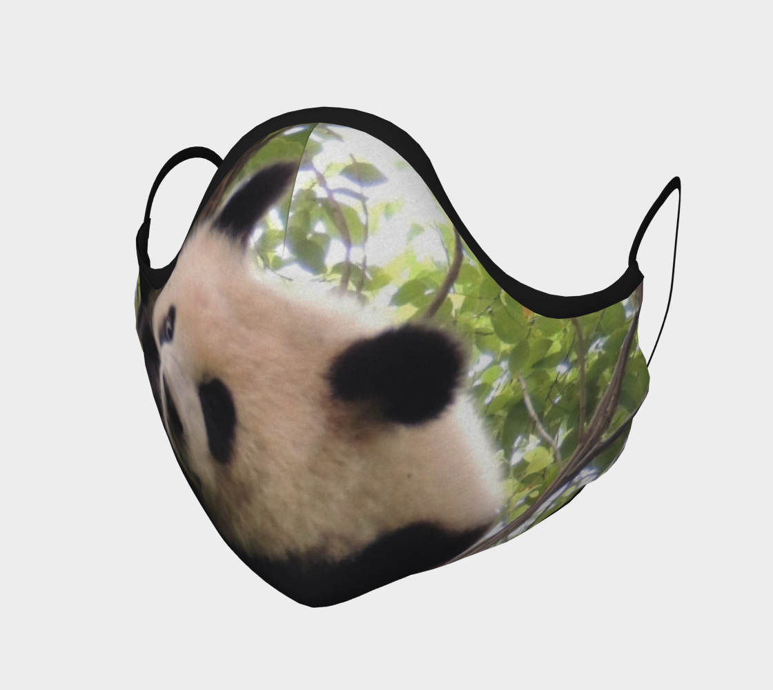 bébé panda | baby panda aperçu