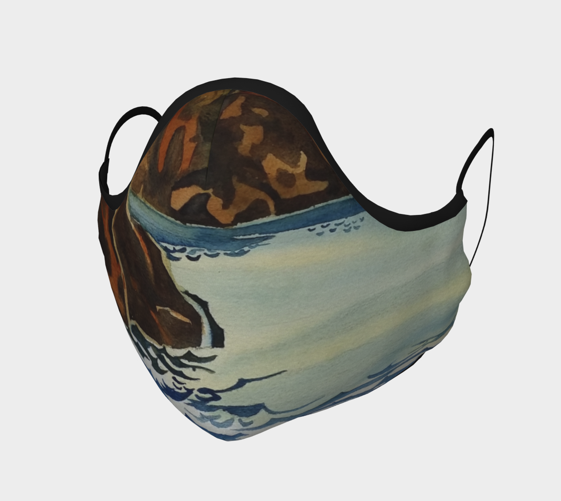 Rocky Shoreline preview #1