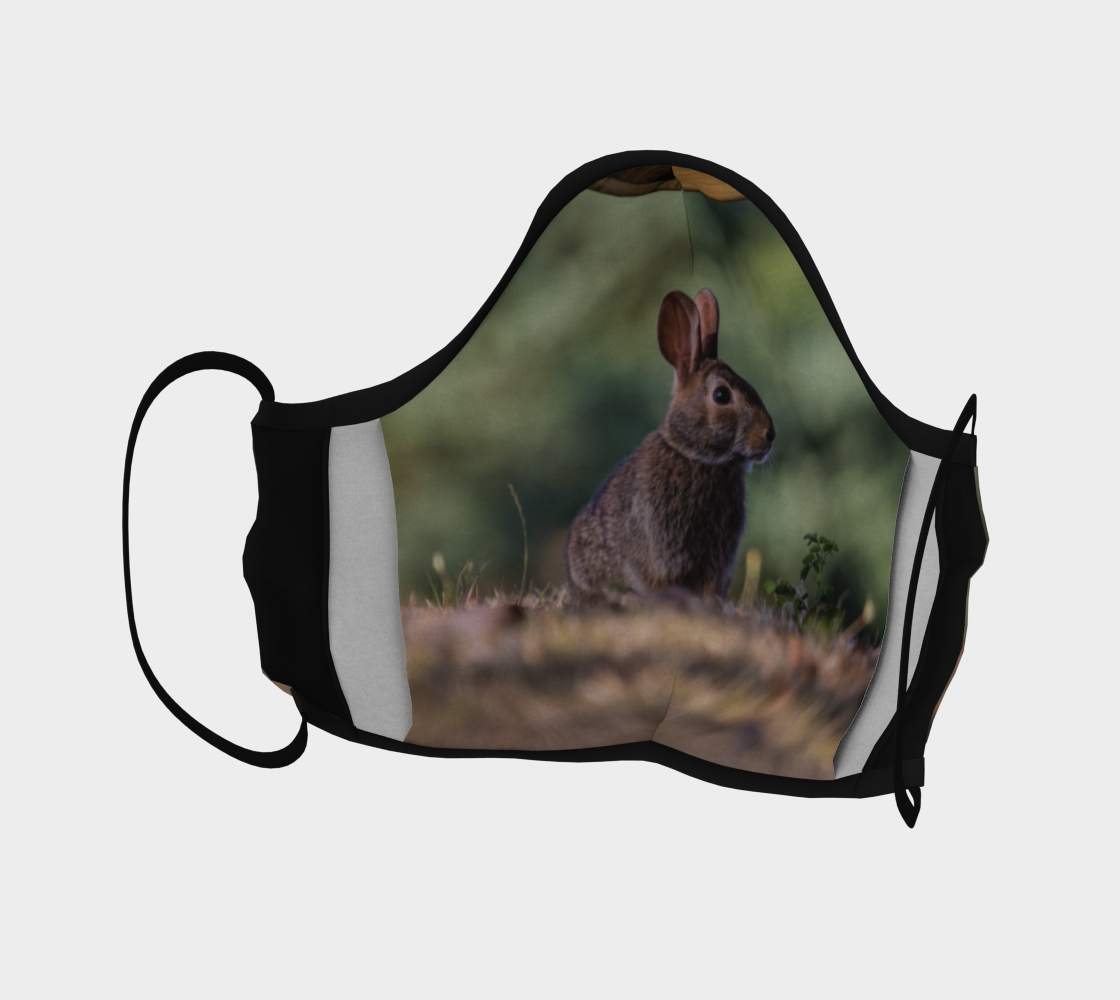 Bunny preview #4