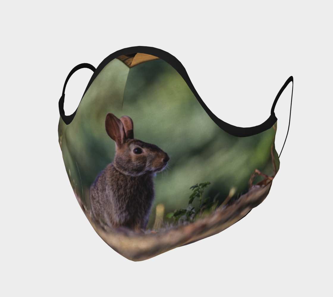Bunny preview