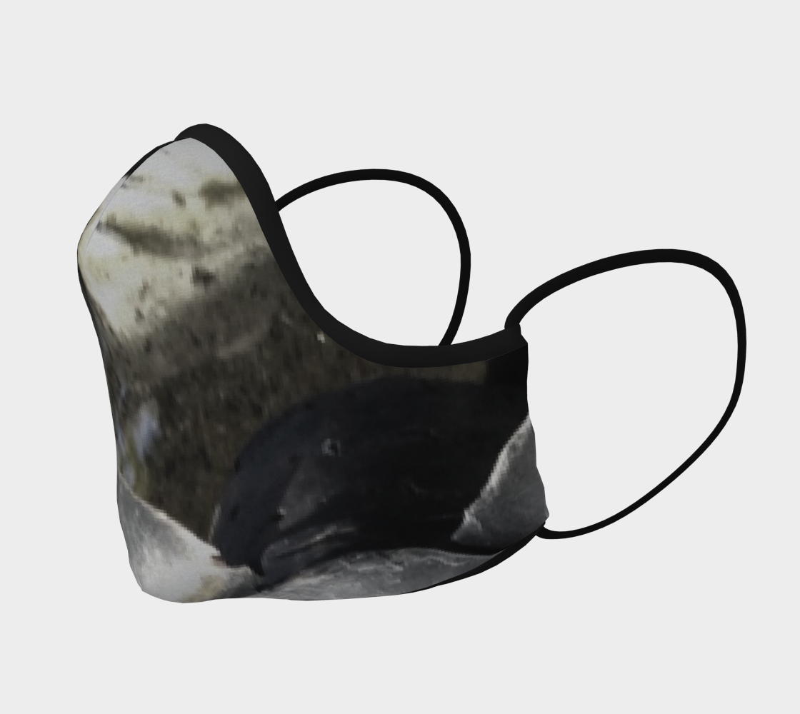Winter Bark preview #2