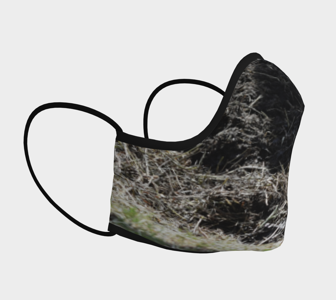 Erosion preview #3